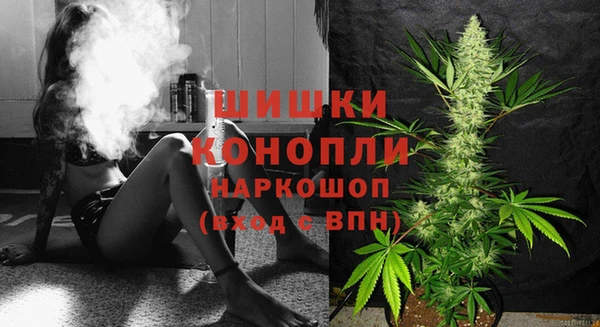 индика Сафоново