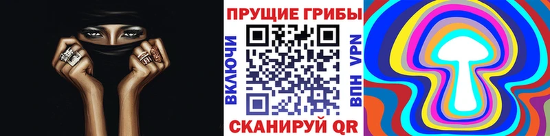 купить наркоту  Магадан  Галлюциногенные грибы Magic Shrooms 