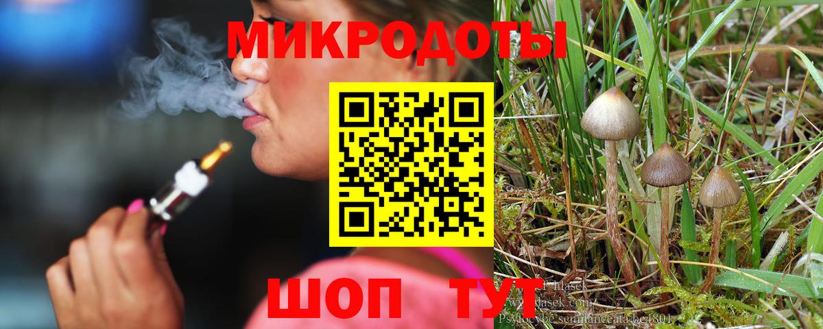 Псилоцибиновые грибы Cubensis  Псилоцибиновые грибы мицелий  Магадан  Вход с VPN 