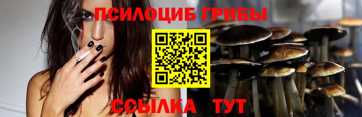 Галлюциногенные грибы прущие грибы  Магадан 