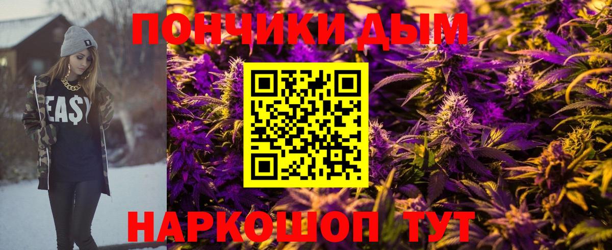 Шишки марихуана семена  Вход с VPN  Бошки Шишки AK-47  Бошки Шишки гибрид  Бошки Шишки марихуана  Магадан 